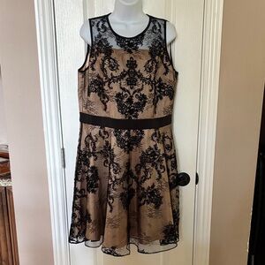 The Limited Black/Tan Lace Sleeveless Fit & Flare Chic Midi Dress Size 14